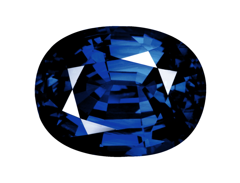 1673439496616086968.png